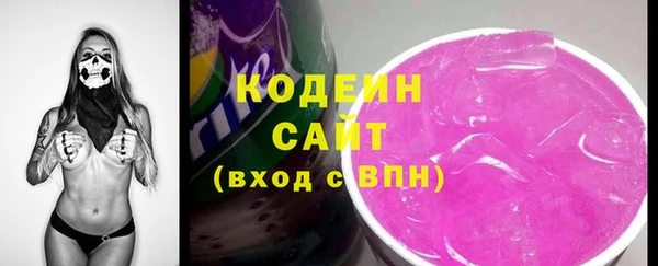 метадон Инта
